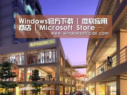 案例展示一