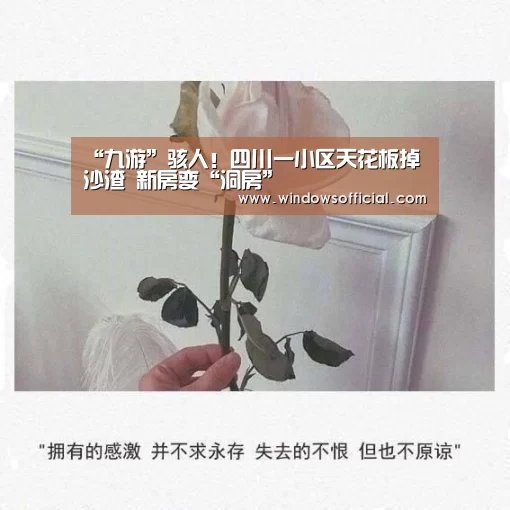 “九游”骇人!四川一小区天花板掉沙渣 新房变“洞房”(图4) 九游