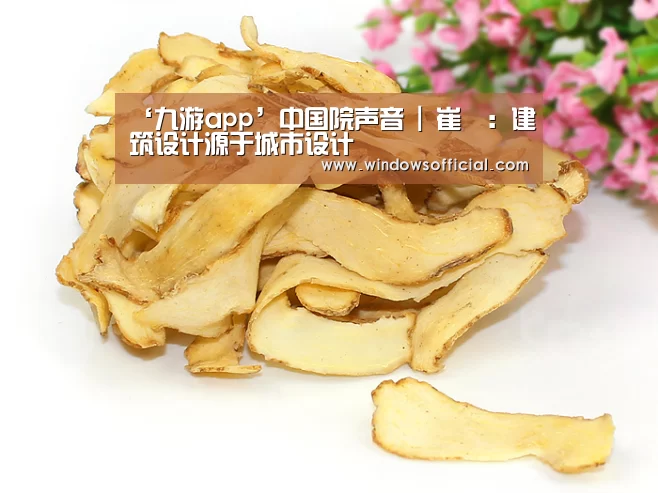 ‘九游app’中国院声音 | 崔愷:建筑设计源于城市设计(图4) 九游