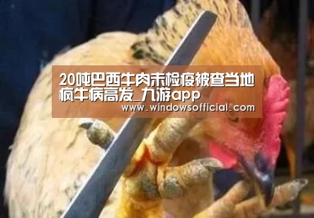 20吨巴西牛肉未检疫被查当地疯牛病高发_九游app(图1) 九游