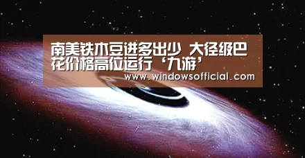 九游下载app