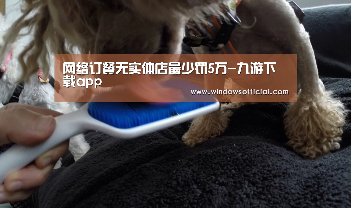 九游下载app
